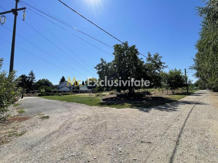 Teren Construcții intravilan de 1487.1800537109 mp, în Ștefăneștii Noi
