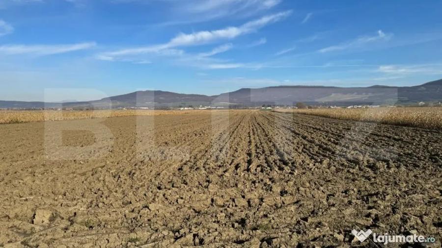 Teren de 5300 mp, în Arcalia
