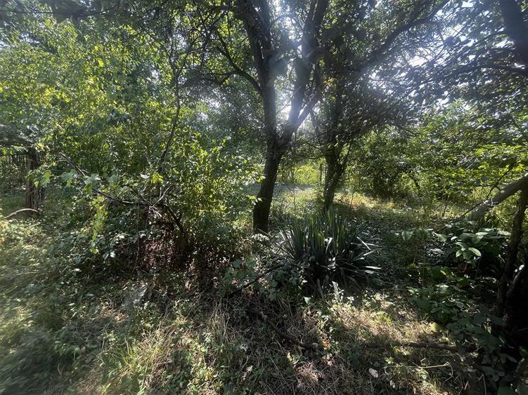 Casă individuală cu 4 camere cu Teren 1000 Mp în Central