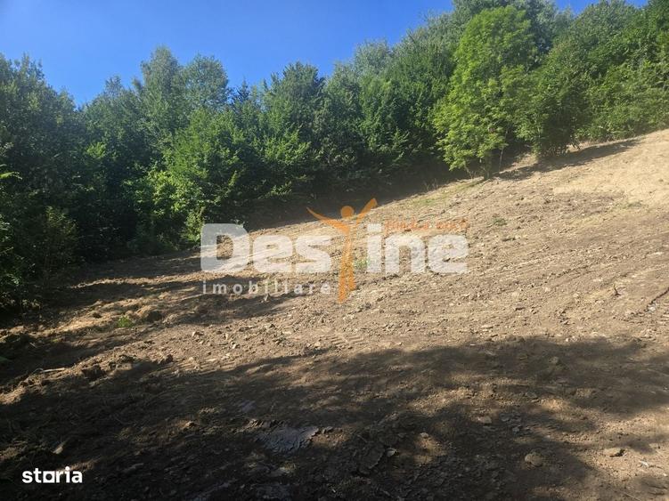 Teren Valea Doftanei, zona Pe Vale - Baraj Paltinu - 1