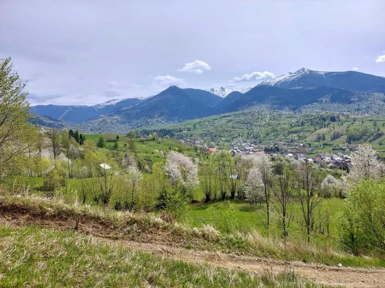 Teren de 2800 mp, în Central