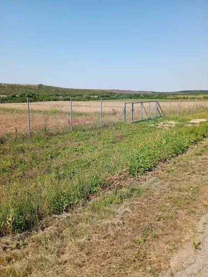 Teren de 6100 mp, în Bencecu de Jos