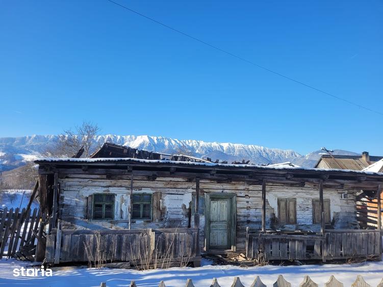 Teren de 10669 mp, în Central