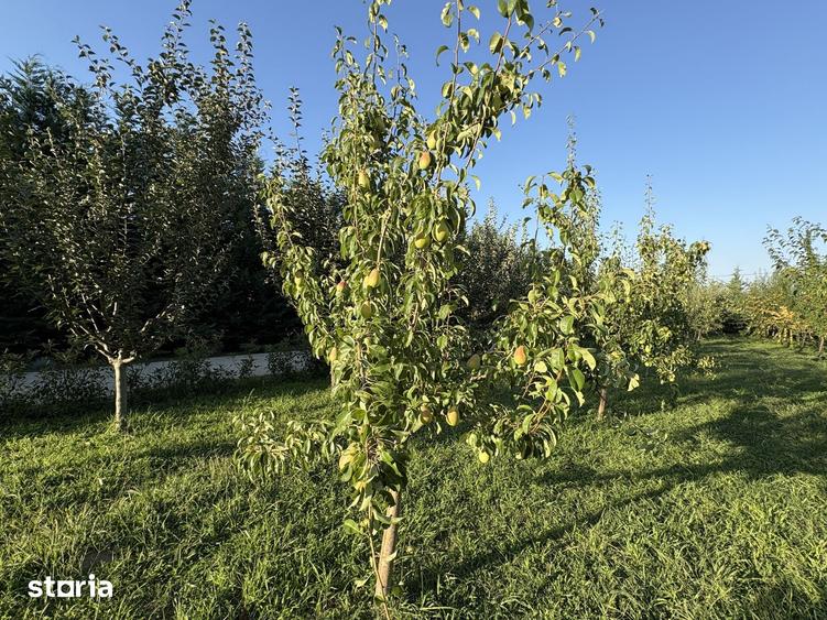 Teren de 2700 mp, în Vernești