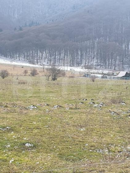 Teren intravilan de 5200 mp, în Vest
