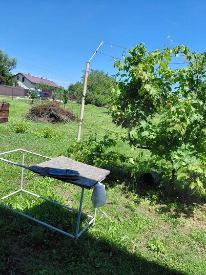 Casă cu 2 camere cu Teren 1295 Mp în Central