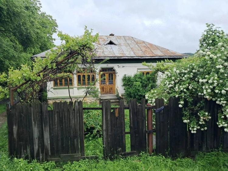 Casă cu 3 camere cu Teren 4350 Mp în Polovragi