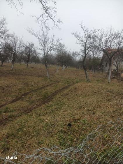 Teren de 3100 mp, în Berislăvești
