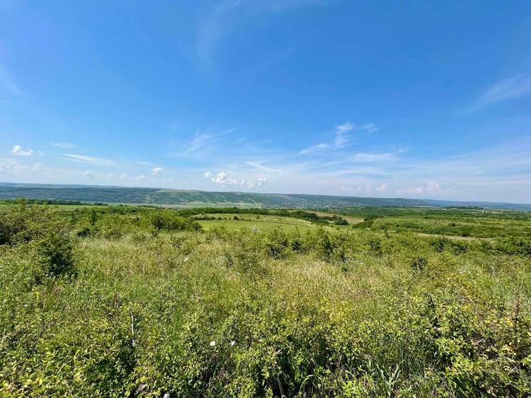 Teren extravilan de 3600 mp, în Central