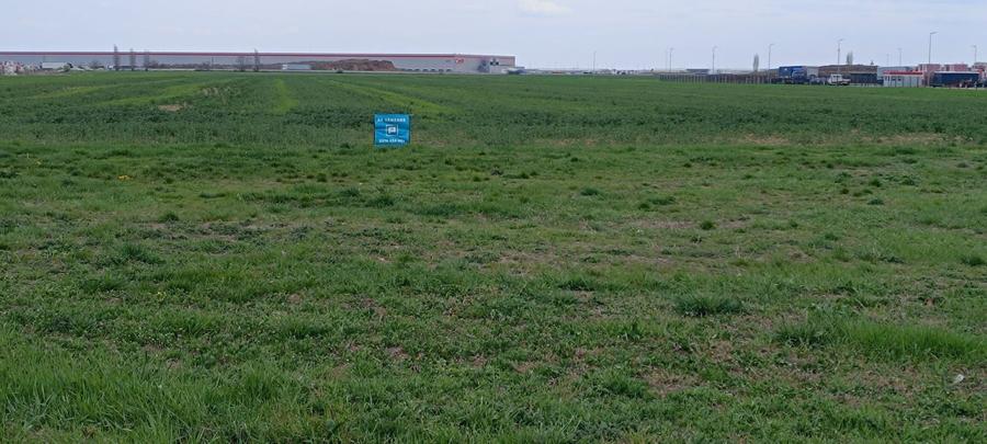 Teren agricol intravilan de 35000 mp, în Șag