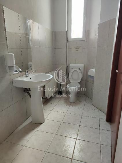 Casă individuală cu 10 camere cu Canalizare în Moșilor