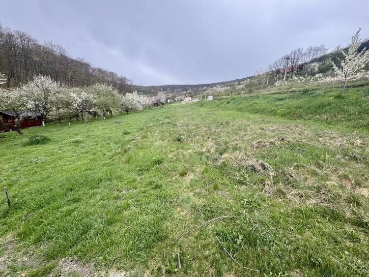 Teren Construcții intravilan de 950 mp, în Vulcan