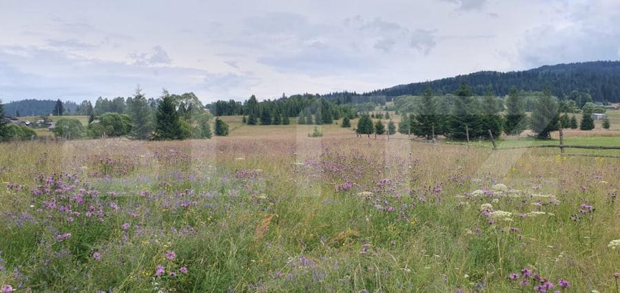 Teren intravilan, 5.869 mp, zona Carlibaba - Vatra Dornei - 1