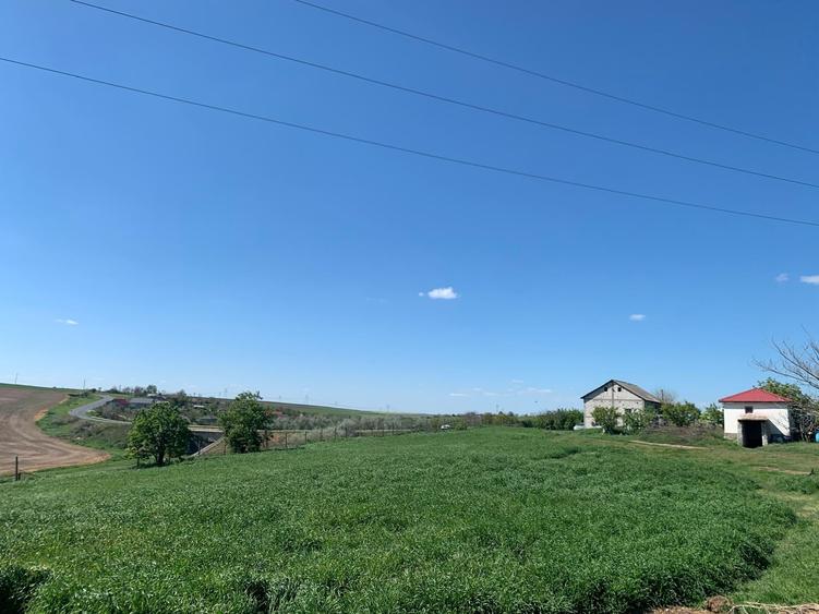 Teren Construcții intravilan de 10680 mp, în Pietreni