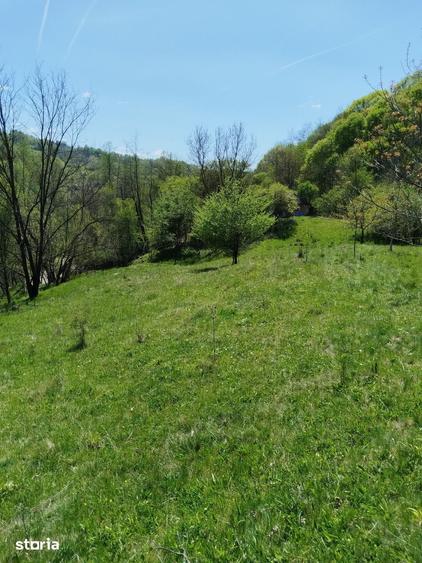 Teren de 7795 mp, în Golești