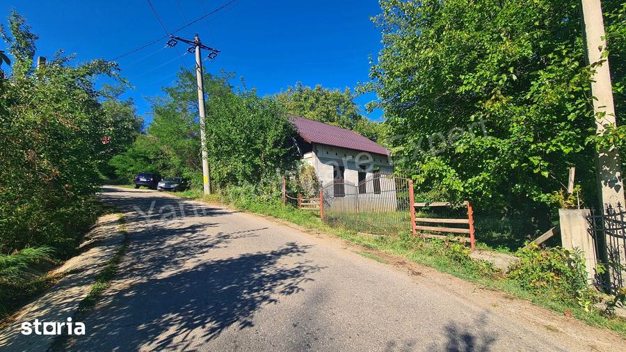 Casă cu 3 camere cu Teren 4391 Mp în Valea Danului