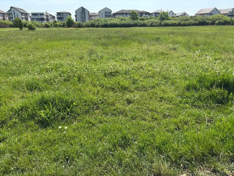 Teren Construcții intravilan de 1239 mp, în Aradul Nou