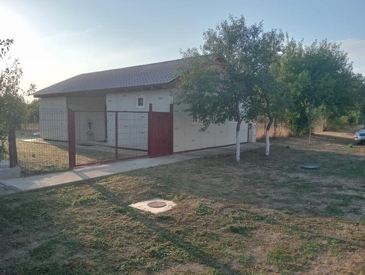Casă individuală cu 2 camere cu Teren 712 Mp în Satchinez