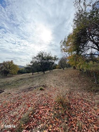 Teren de 8260 mp, în Corbi