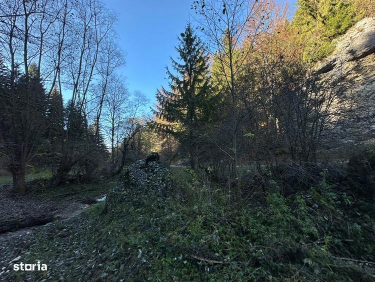 Teren de 2882 mp, în Dâmbovicioara