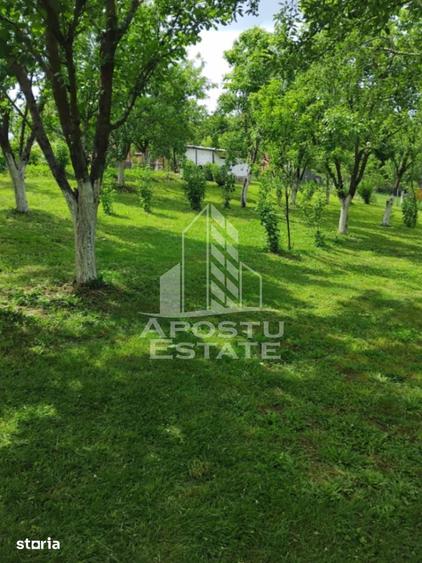 Casă cu 2 camere cu Teren 3515 Mp în Central