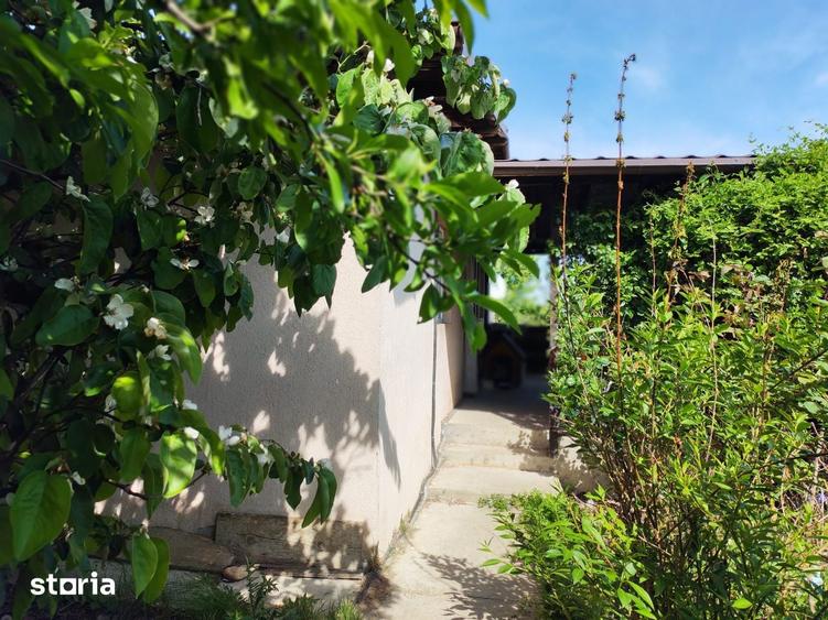 Casa de vanzare in Branesti, in apropiere de padure si lac - 12