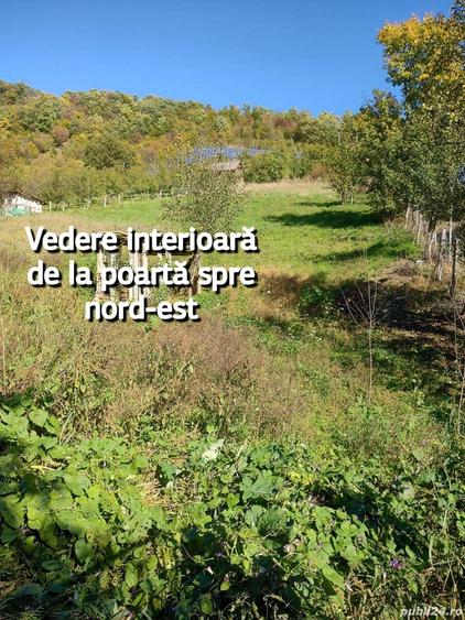 Teren de 2310 mp, în Central