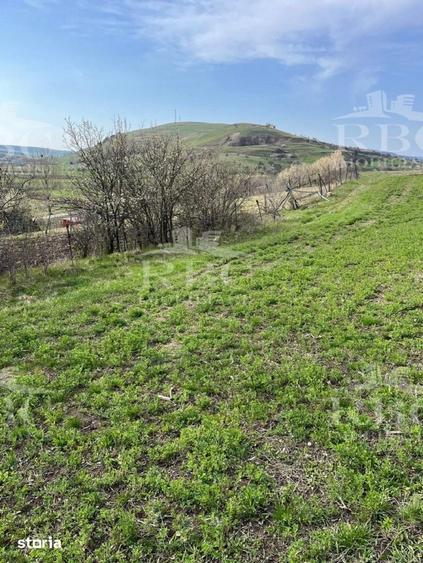 Teren de 6300 mp, în Gârbău