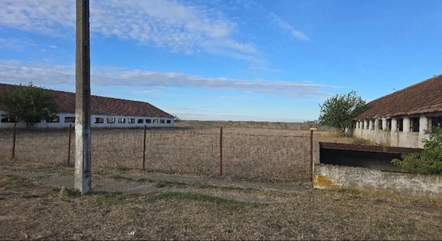Teren Construcții intravilan de 5141 mp, în Satchinez