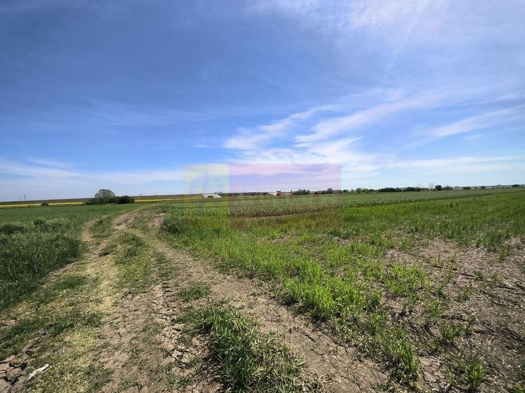 Teren Construcții intravilan de 2200 mp, în Dărăști-Ilfov