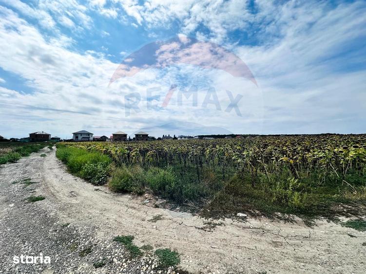 Teren de 14863 mp, în Ciorogârla