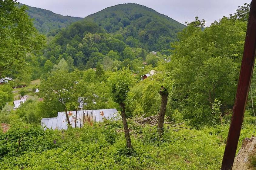 Teren de 2700 mp, în Telega