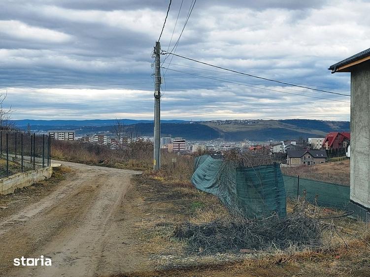 Viticulori, intrare prin Pacurari sau Aleea M. Sadoveanu, 2820 mp - 5