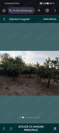 Casă cu 3 camere în Segarcea-Deal