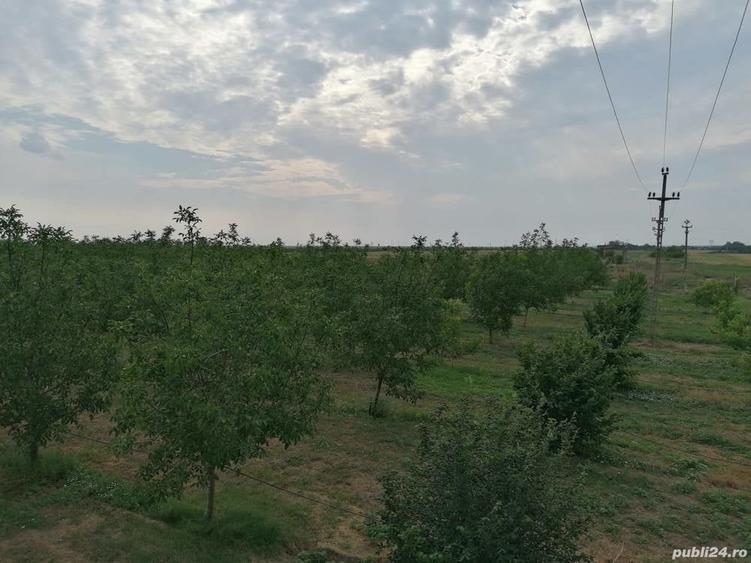 Teren în Ciochina