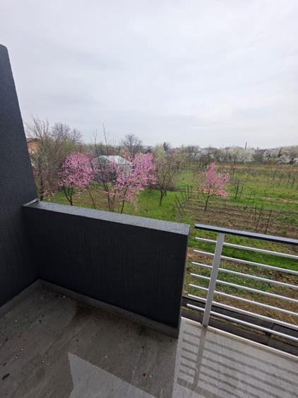 Apartament 1 camera inchiriere Lunca Cetatuii, Bucatarie mobilata - 7