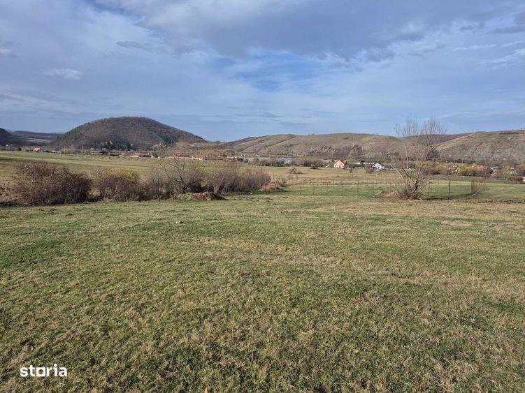 Teren de 1500 mp, în Orlat