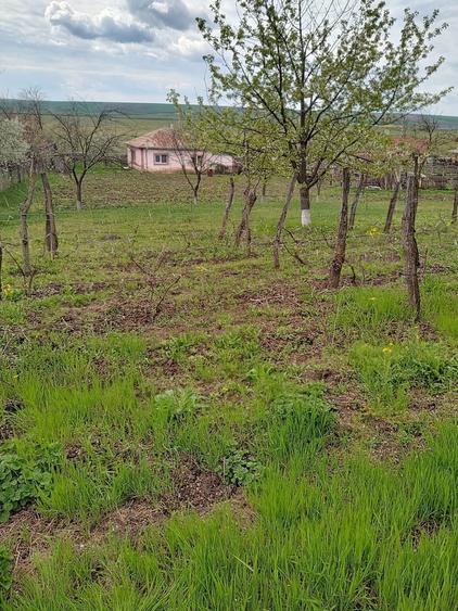 Casă cu 3 camere în Andrieșeni