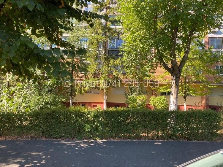 Apartament cu 2 camere decomandat, mobilat în Micălaca