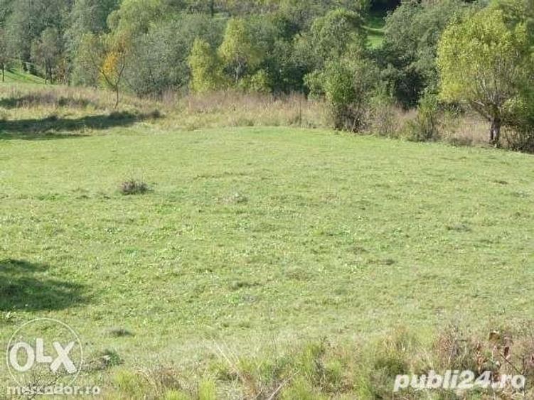 Teren de 3142 mp, în Vulcana-Băi