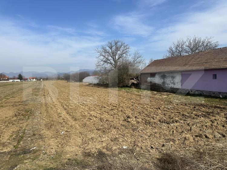Teren Construcții intravilan de 4550 mp, în Sântuhalm