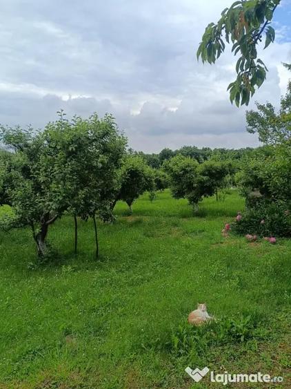 Casă cu 7 camere în Exterior Vest