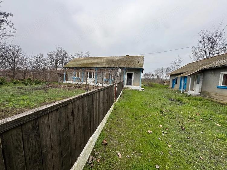 Casă cu Teren 4000 Mp în Valea Nucarilor