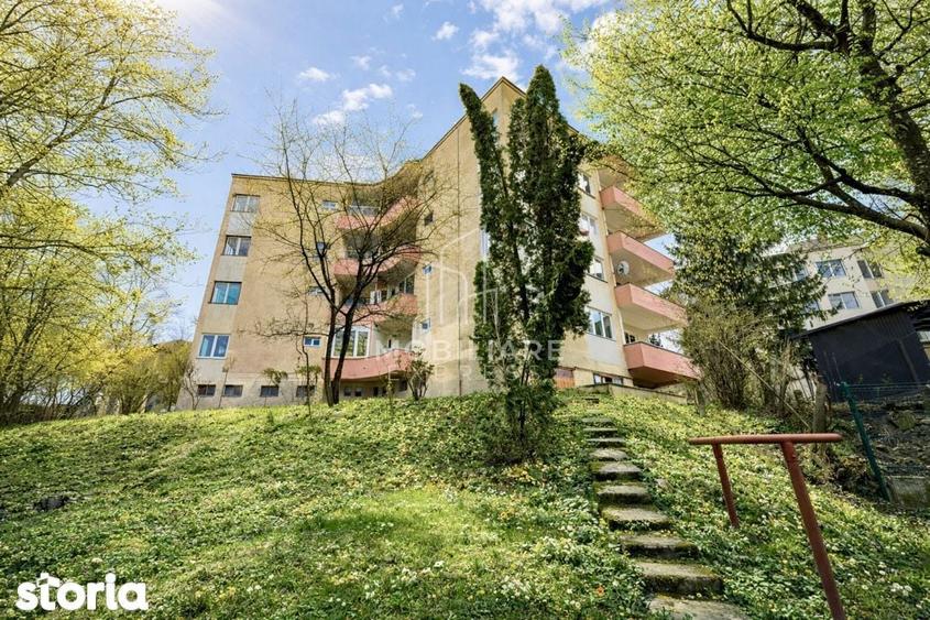 Apartament 163 mp, living + balcon 40 mp, vedere parc, garaj, curte. - 8