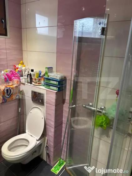 Apartament cu 3 camere decomandat în Lunei