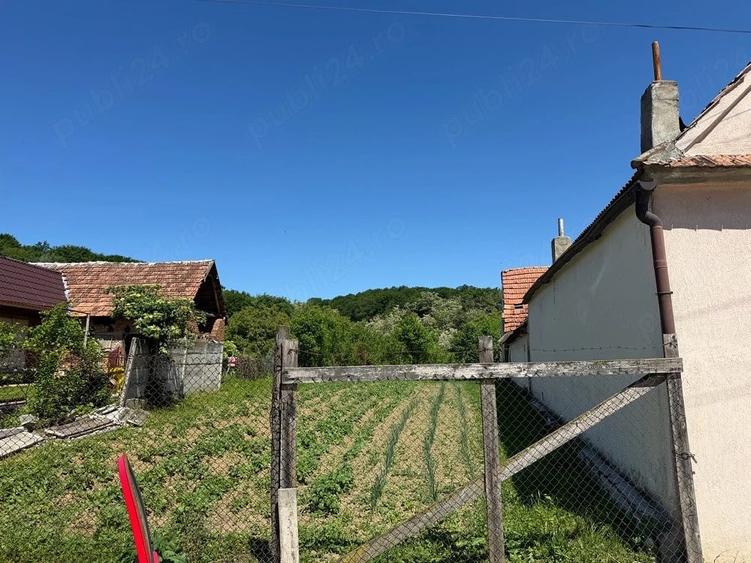 Teren de 600 mp, în Bradu