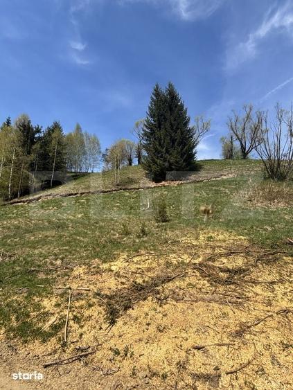 Teren de 8450 mp, în Central