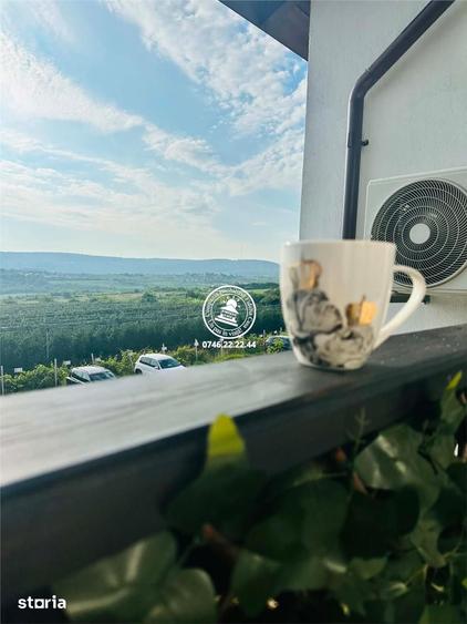 Apartament cu 2 camere în Vișani