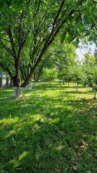 Casă individuală cu 5 camere cu Canalizare în Central
