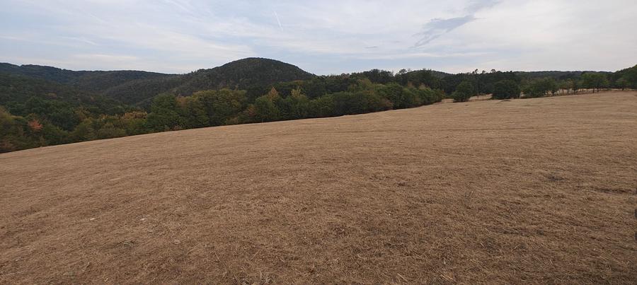 Teren de 35400 mp, în Balta